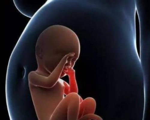 香港诗康富生物科技有限公司验血,输卵管不通 备孕三年成功好孕经验分享