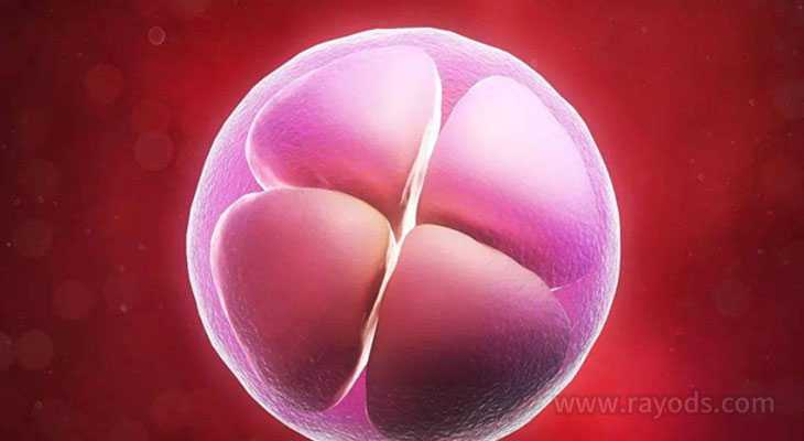 孕酮低会影响香港验血吗,人工受精双胞胎一次多少钱？人工授精备孕须知!