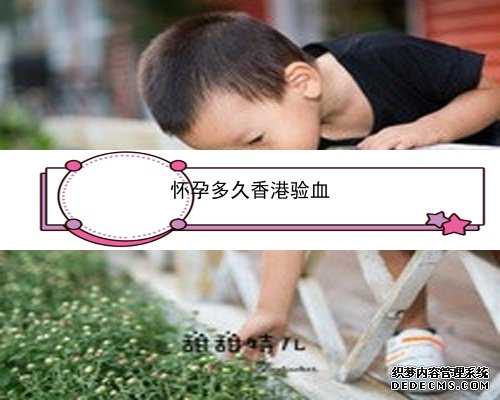 怀孕香港验血报告单_两只蚂蚁打架是为了什么？两只蚂蚁 急需！！