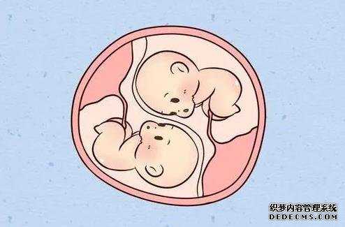 怀孕香港验血测男女