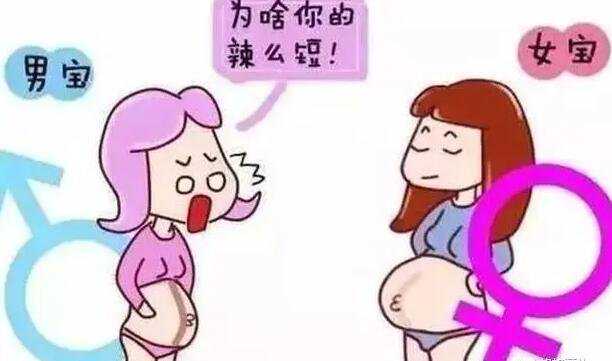 香港邮寄验血被骗_怀孕一个月香港可以验血查男女吗_真实经历分享!