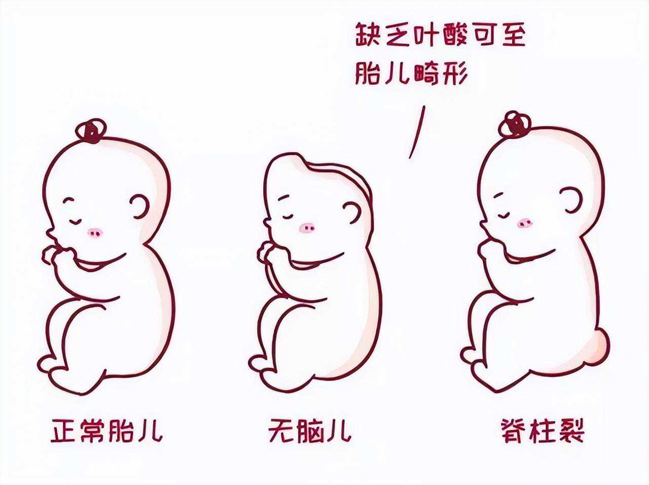 香港孕妇验血排畸,备孕老公需要吃叶酸吗